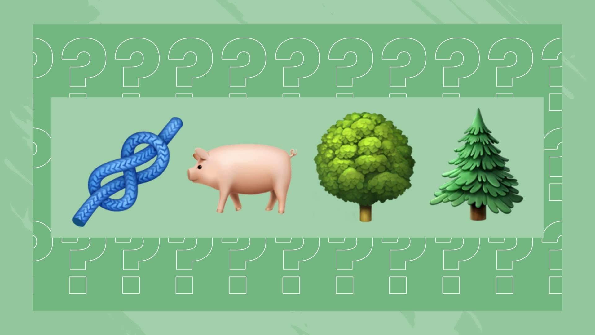 球迷和球队 球迷和球队