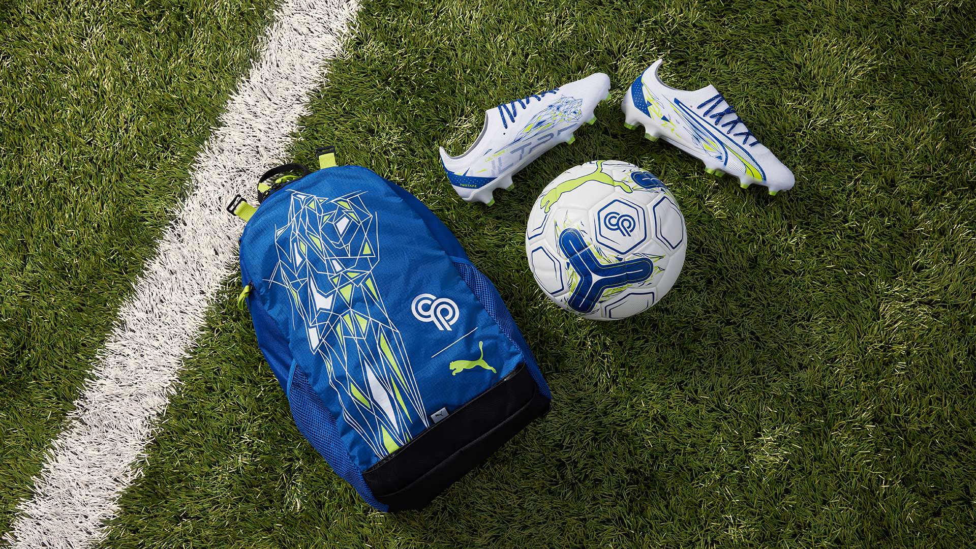 卻顯得尤為 卻顯得尤為