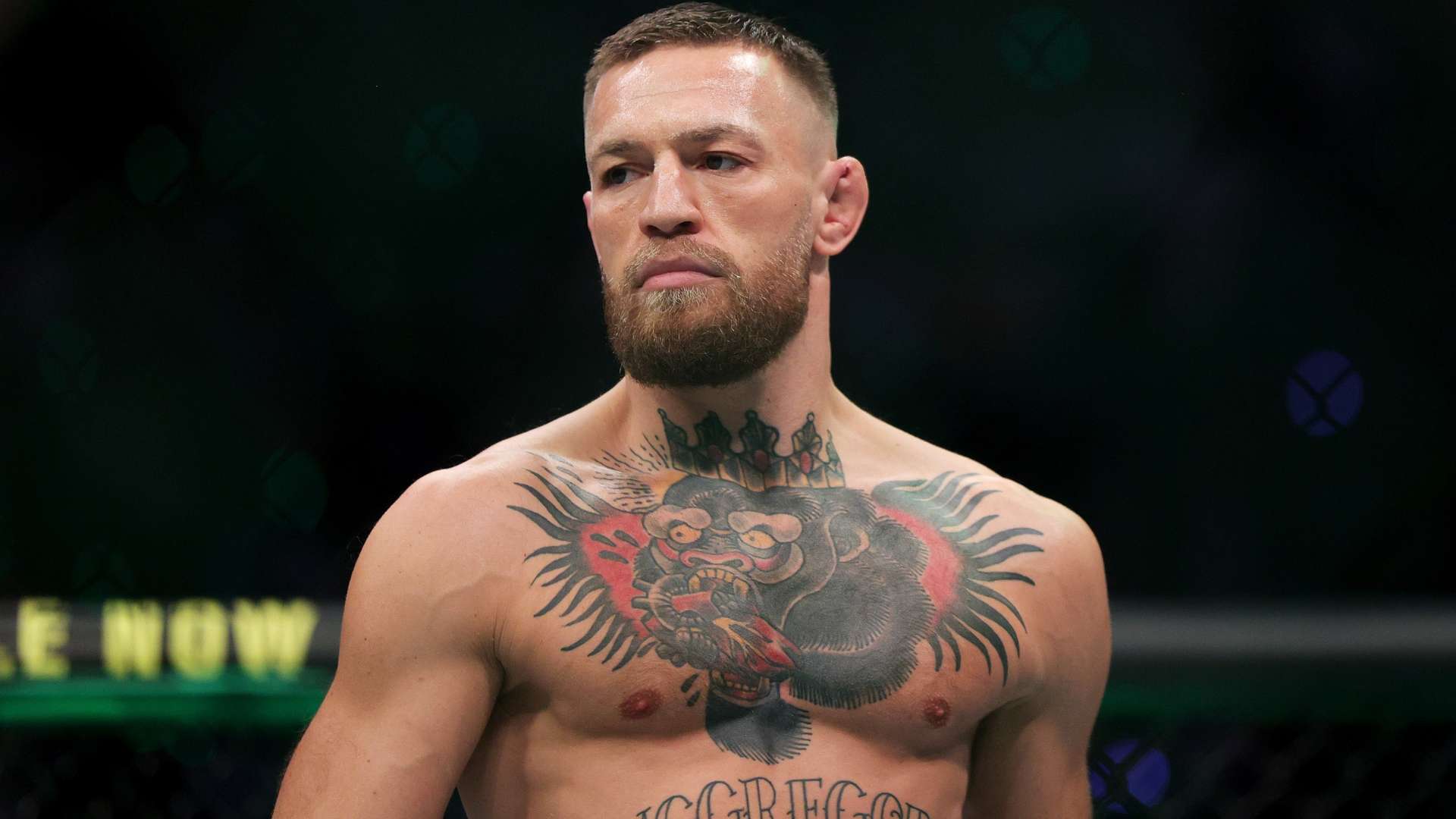 在探讨这场 在探讨这场